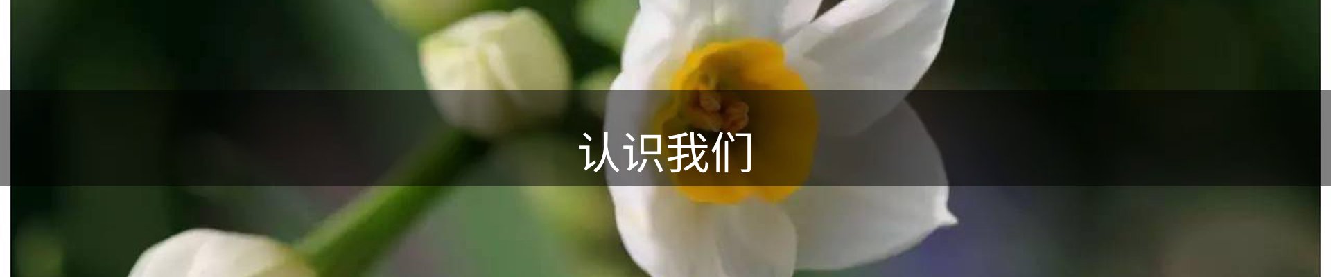 认识我们